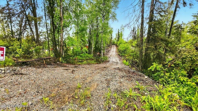 9599 N Buckingham Palace Rd, Willow, AK 99688