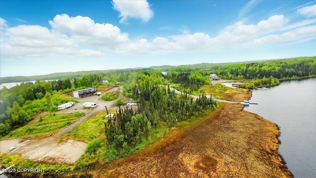 9599 N Buckingham Palace Rd, Willow, AK 99688
