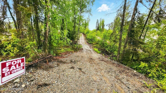 9599 N Buckingham Palace Rd, Willow, AK 99688