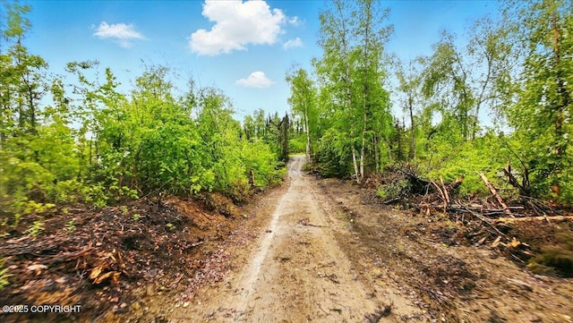 9599 N Buckingham Palace Rd, Willow, AK 99688