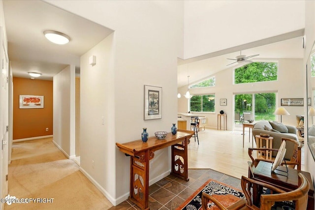 48585 Runners Ave, Soldotna, AK 99669 - hallway with baseboards and high vaulted ceiling