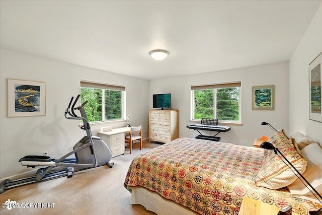 48585 Runners Ave, Soldotna, AK 99669 - bedroom featuring multiple windows, carpet flooring, and baseboards