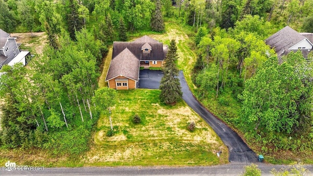 48585 Runners Ave, Soldotna, AK 99669 - view from above of property