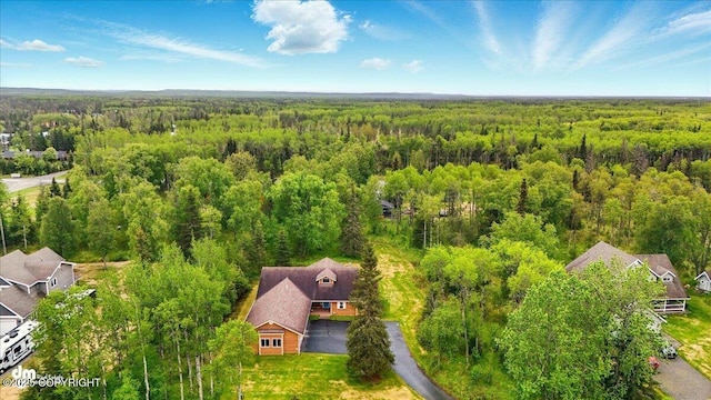 48585 Runners Ave, Soldotna, AK 99669 - drone / aerial view of a forest