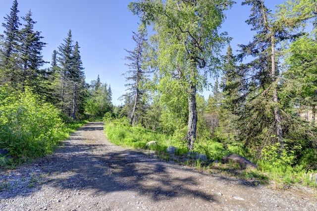 9291 Basher Dr, Anchorage, AK 99507 - view of dirt / gravel road featuring a view of trees