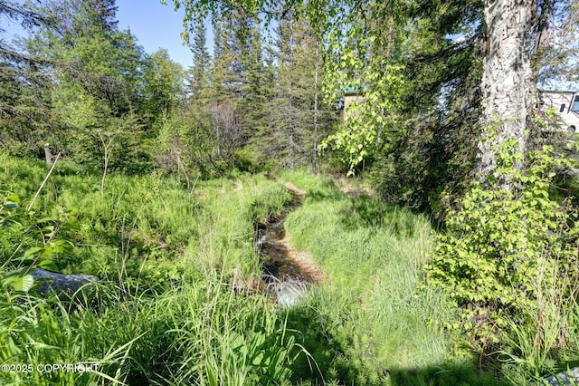 9291 Basher Dr, Anchorage, AK 99507 - view of nature