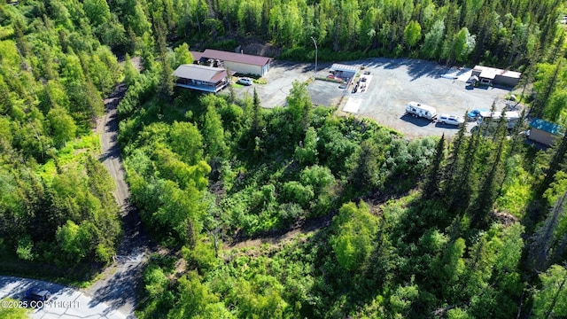9291 Basher Dr, Anchorage, AK 99507 - drone / aerial view of a heavily wooded area