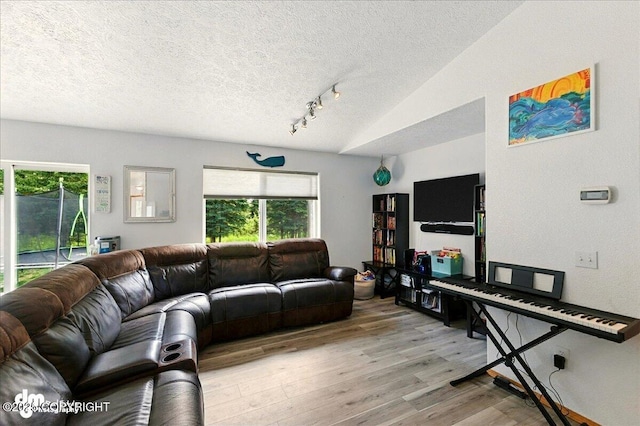 1213 Channel Way, Kenai, AK 99611 - living area with a textured ceiling, light wood-style flooring, and vaulted ceiling