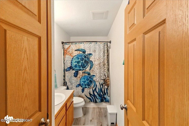 1213 Channel Way, Kenai, AK 99611 - bathroom with wood finished floors, vanity, a shower with shower curtain, and a textured ceiling