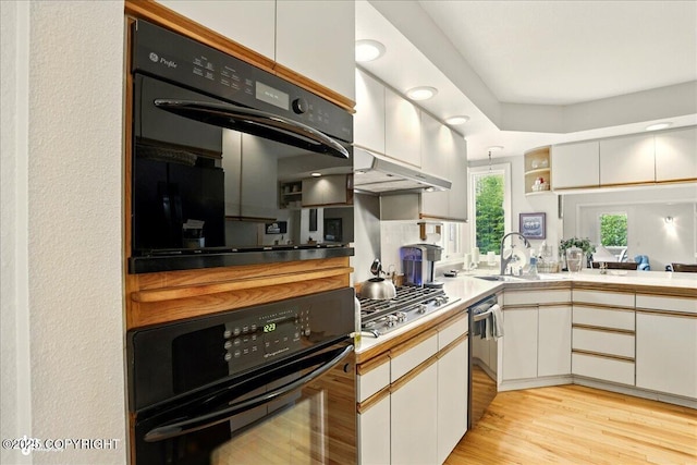 5420 E 112th Ave, Anchorage, AK 99516 - kitchen featuring stainless steel appliances, a sink, light wood-style flooring, and light countertops