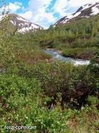 MILE18 Willow-Fishhook Rd, Willow, AK 99688