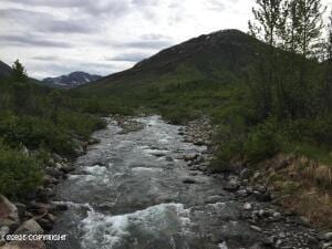MILE18 Willow-Fishhook Rd, Willow, AK 99688