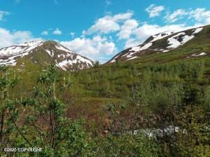 MILE18 Willow-Fishhook Rd, Willow, AK 99688