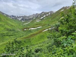 MILE18 Willow-Fishhook Rd, Willow, AK 99688