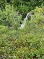 MILE18 Willow-Fishhook Rd, Willow, AK 99688