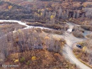 MILE18 Willow-Fishhook Rd, Willow, AK 99688