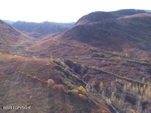 MILE18 Willow-Fishhook Rd, Willow, AK 99688
