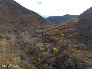 MILE18 Willow-Fishhook Rd, Willow, AK 99688