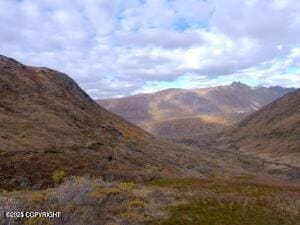 MILE18 Willow-Fishhook Rd, Willow, AK 99688