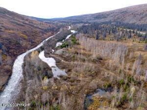 MILE18 Willow-Fishhook Rd, Willow, AK 99688
