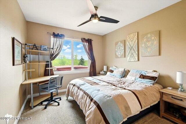 751 W Kyle Williams Cir, Wasilla, AK 99654 - photo 53