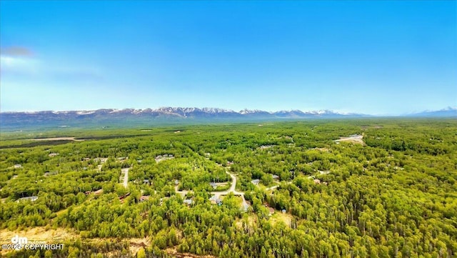 751 W Kyle Williams Cir, Wasilla, AK 99654 - photo 89