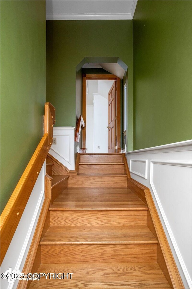 40327 S Malaspina Loop, Talkeetna, AK 99676 - stairs featuring crown molding, wainscoting, a decorative wall, and arched walkways