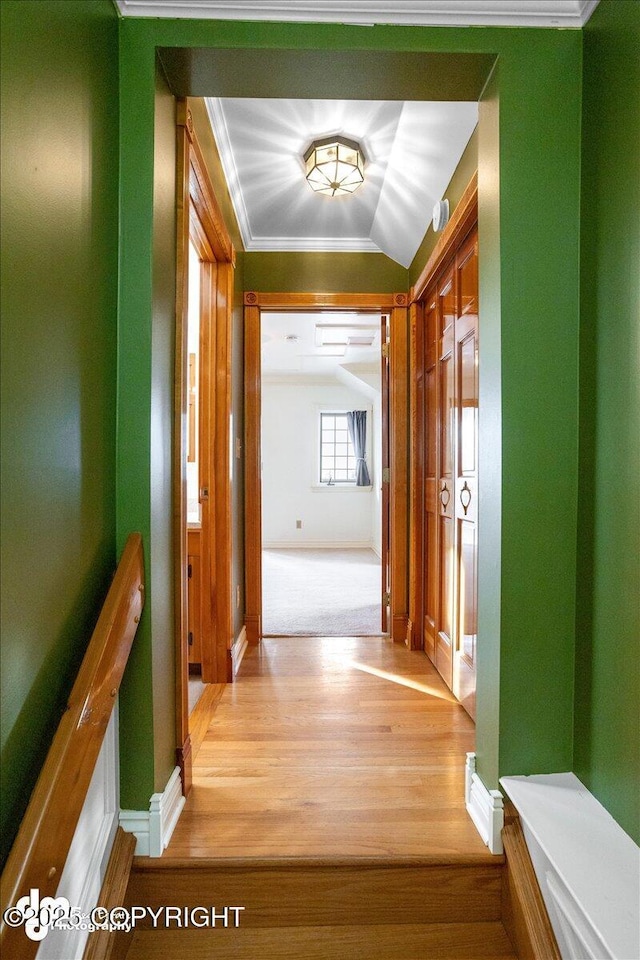 40327 S Malaspina Loop, Talkeetna, AK 99676 - corridor featuring light wood-style floors, baseboards, lofted ceiling, and ornamental molding