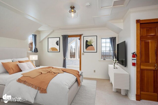 40327 S Malaspina Loop, Talkeetna, AK 99676 - bedroom with light carpet and baseboards