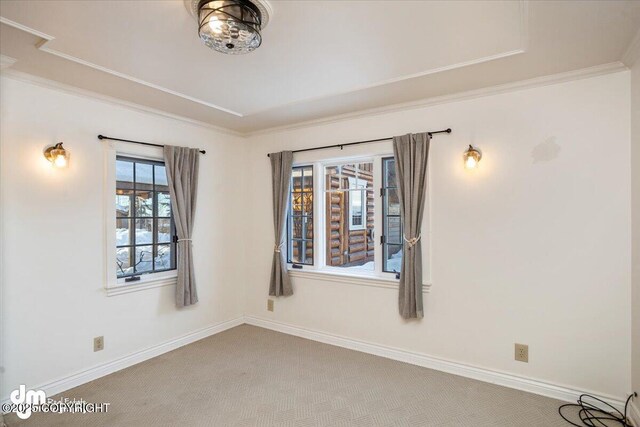 40327 S Malaspina Loop, Talkeetna, AK 99676 - carpeted spare room with crown molding, baseboards, and a raised ceiling