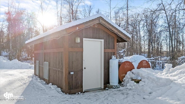 40327 S Malaspina Loop, Talkeetna, AK 99676 - snow covered structure featuring a shed