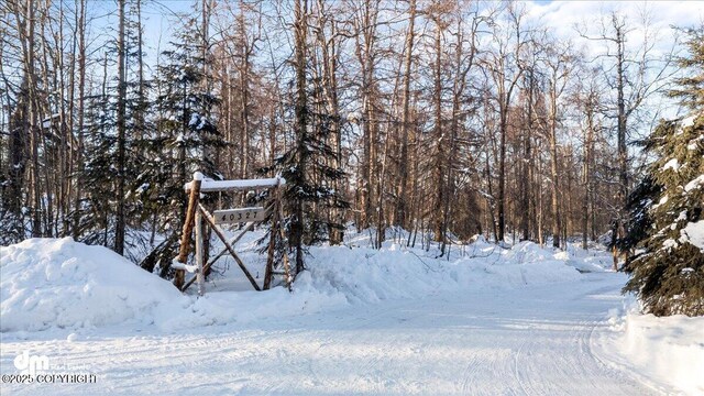 40327 S Malaspina Loop, Talkeetna, AK 99676 - view of yard covered in snow