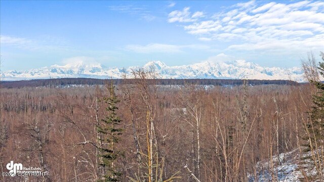 40327 S Malaspina Loop, Talkeetna, AK 99676 - view of mountain background featuring a forest