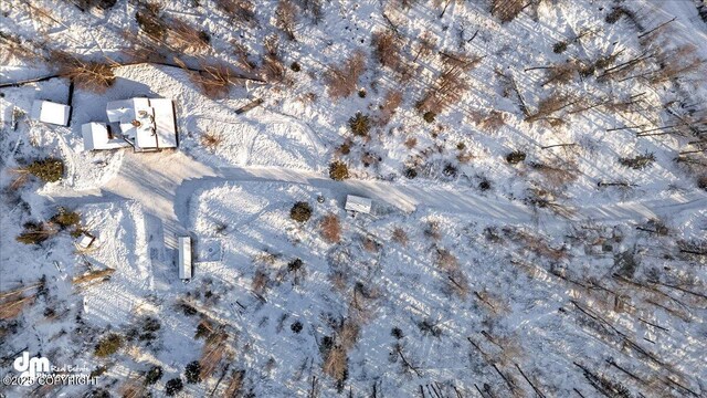 40327 S Malaspina Loop, Talkeetna, AK 99676 - view of snowy aerial view