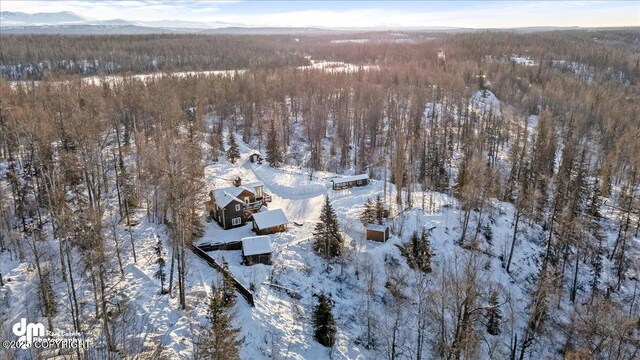 40327 S Malaspina Loop, Talkeetna, AK 99676 - snowy aerial view featuring a wooded view and a mountain view