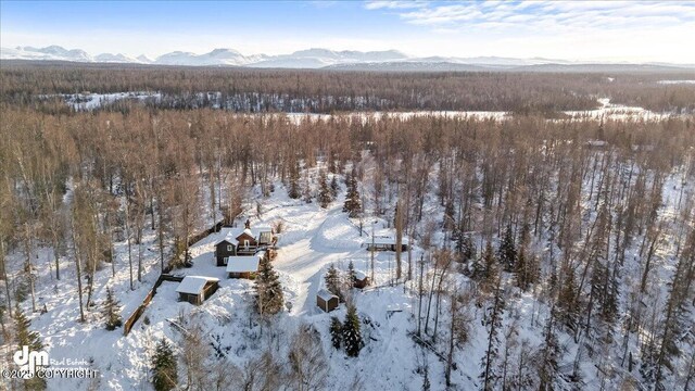 40327 S Malaspina Loop, Talkeetna, AK 99676 - snowy aerial view featuring a forest view and a mountain view