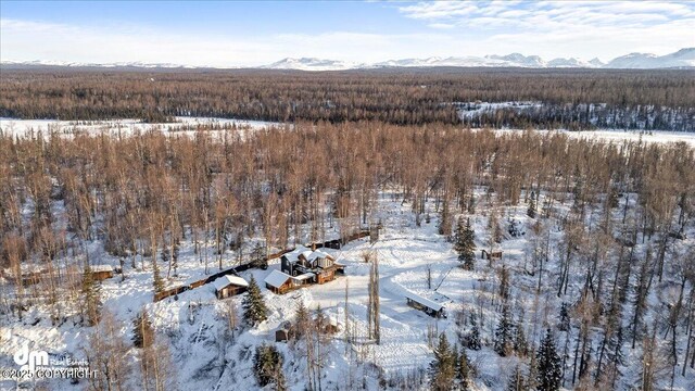 40327 S Malaspina Loop, Talkeetna, AK 99676 - snowy aerial view featuring a forest view and a mountain view