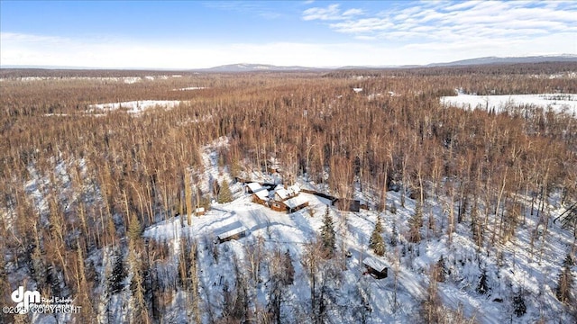 40327 S Malaspina Loop, Talkeetna, AK 99676 - snowy aerial view featuring a wooded view and a mountain view