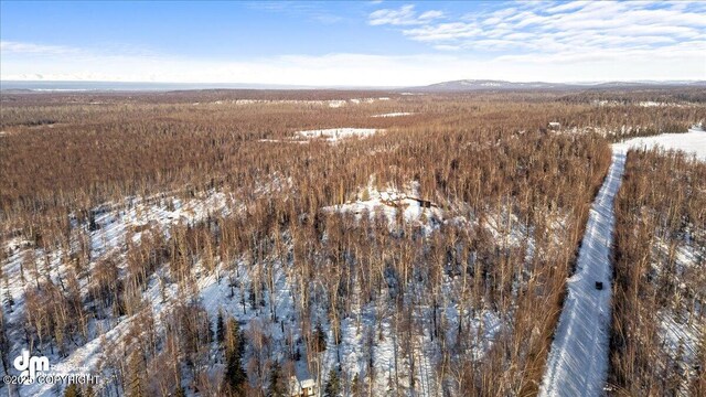 40327 S Malaspina Loop, Talkeetna, AK 99676 - snowy aerial view with a mountain view and a forest view