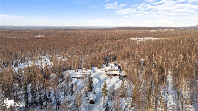 40327 S Malaspina Loop, Talkeetna, AK 99676 - snowy aerial view featuring a forest view