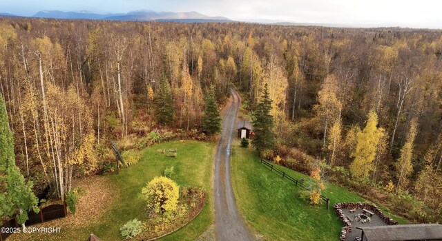 40327 S Malaspina Loop, Talkeetna, AK 99676 - bird's eye view of a forest