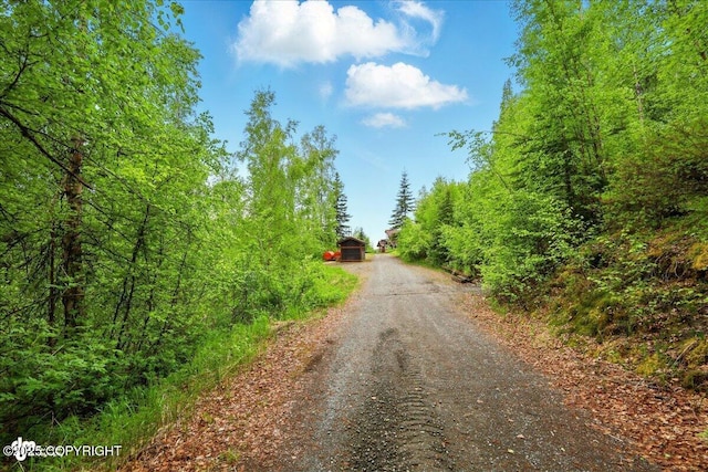 40327 S Malaspina Loop, Talkeetna, AK 99676 - view of dirt / gravel road