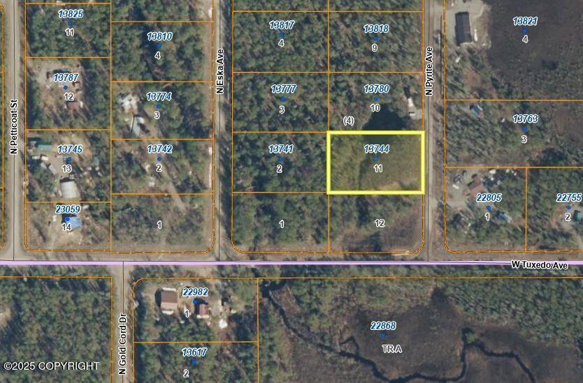 13744 N Pyrite Ave, Willow, AK 99688