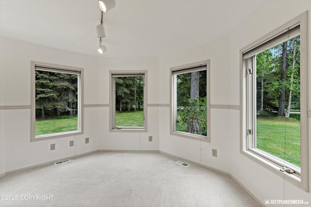 1701 Woo Blvd, Anchorage, AK 99515 - carpeted spare room featuring plenty of natural light, baseboards, and track lighting