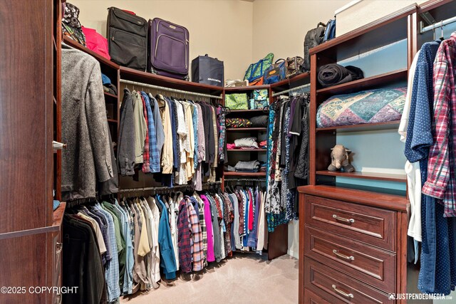 1701 Woo Blvd, Anchorage, AK 99515 - spacious closet with carpet flooring