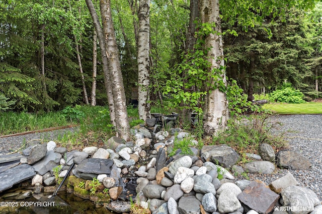 1701 Woo Blvd, Anchorage, AK 99515 - view of local wilderness