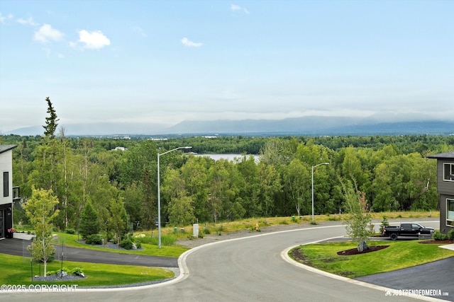 7864 Crane Cir, Anchorage, AK 99502 - view of asphalt street with street lighting and a wooded view