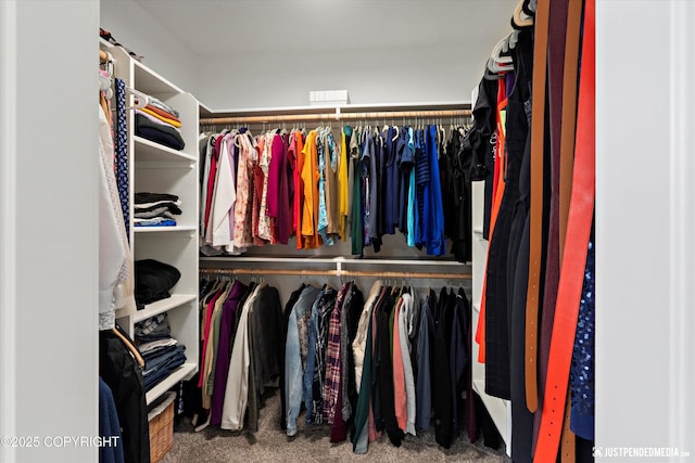 7864 Crane Cir, Anchorage, AK 99502 - spacious closet with carpet
