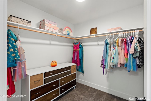 7864 Crane Cir, Anchorage, AK 99502 - walk in closet with dark carpet