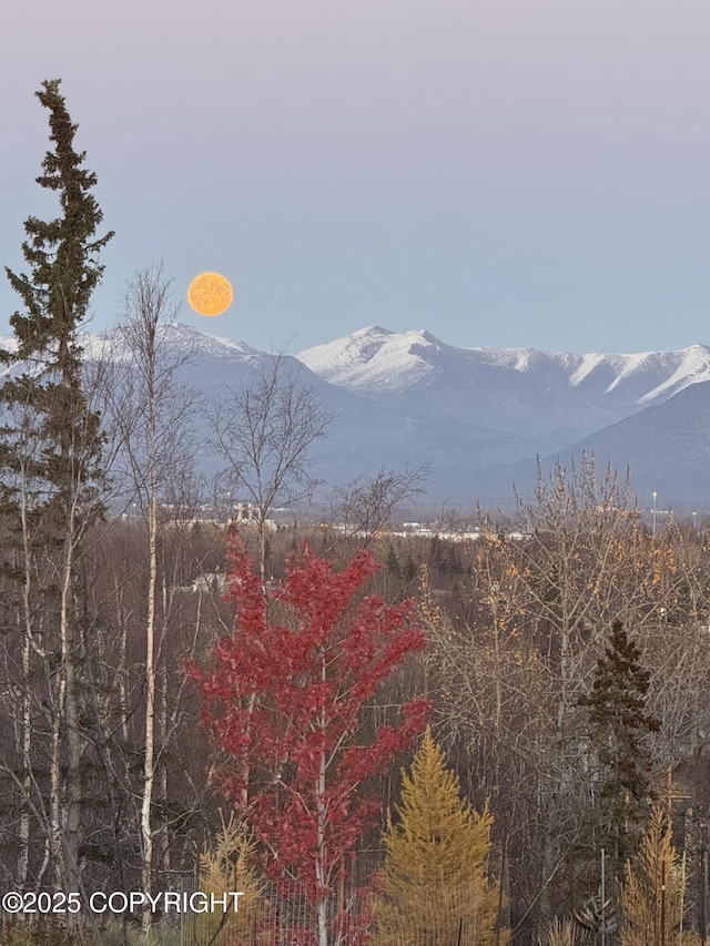 7864 Crane Cir, Anchorage, AK 99502 - view of mountain background